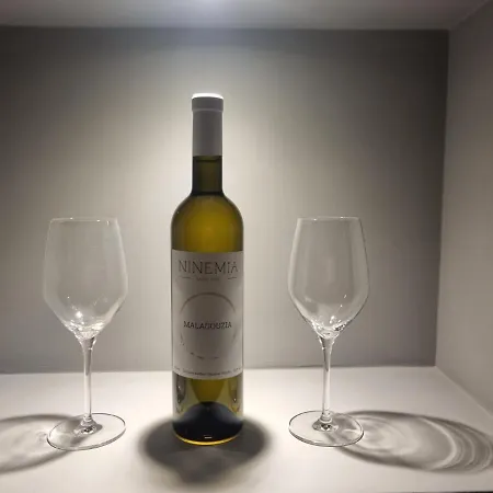 Ninemia Naxos Апартаменты *