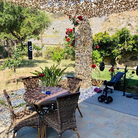 Ninemia Naxos Апартаменты Agios Thaleleos